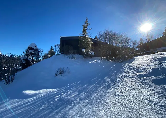 度假居 Dachsbau *